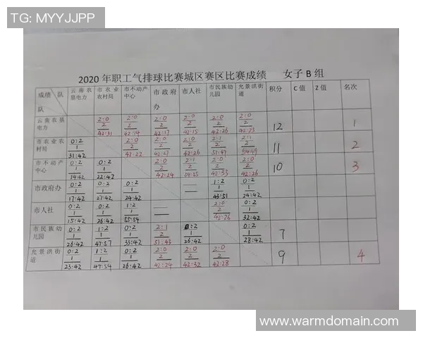 杭州排球队在杯赛中的技术表现分析与评价